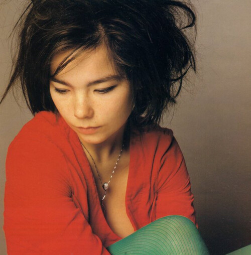 Bjork09d7394aff8cc04c.jpeg
