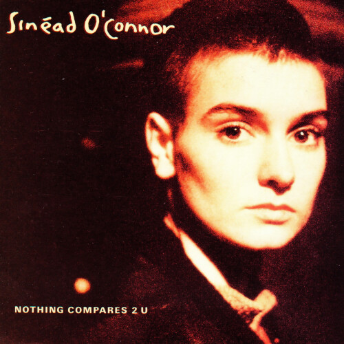 Sinead-OConnorb13988fd02653795.jpeg