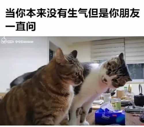 image3300579f36a8e088.png