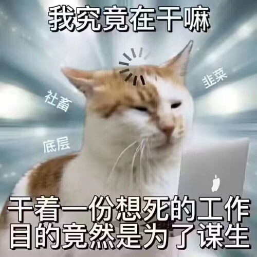 240db9f23995916bea2a6ebabd7b4281237179b33f7d815.jpeg