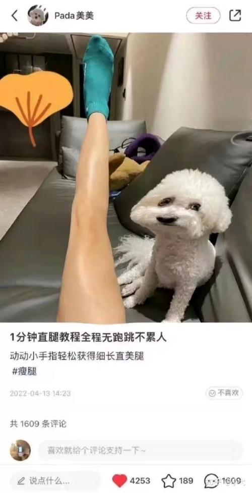 image1523d6ba3db476d9.png