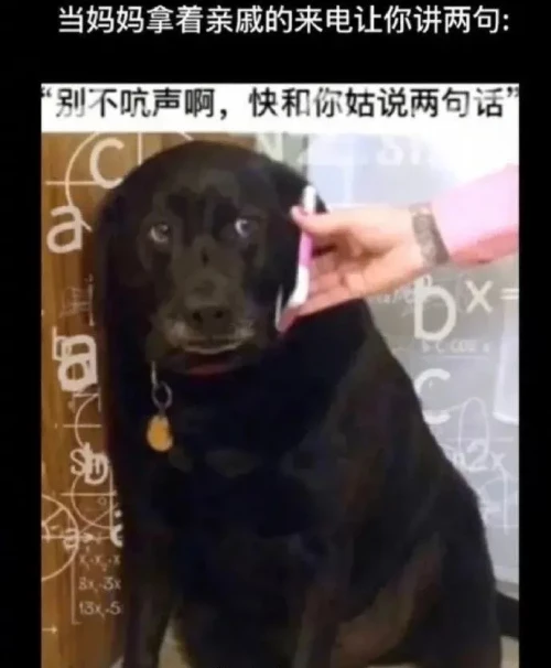 640773287e204f5ea64.webp