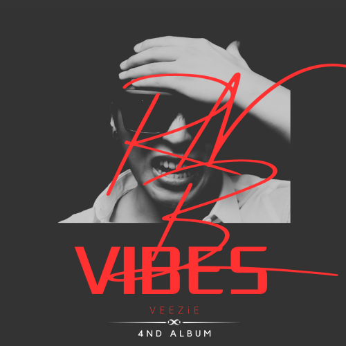 VEEZiERNB-VIBES317ac50f3cd1b154.png