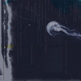 HINTFalse-Command444a86c373749926