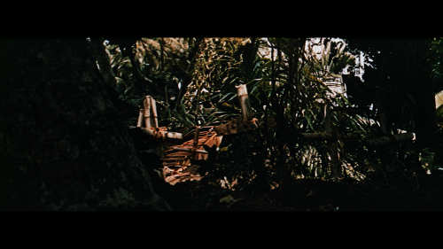 ScreenShot111b48ea2283a4a97.png
