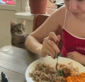 640180ca0760b5fdaaf.gif