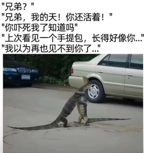 640291c8b112c2ed885.webp