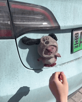 6407407a28eee23499b.gif