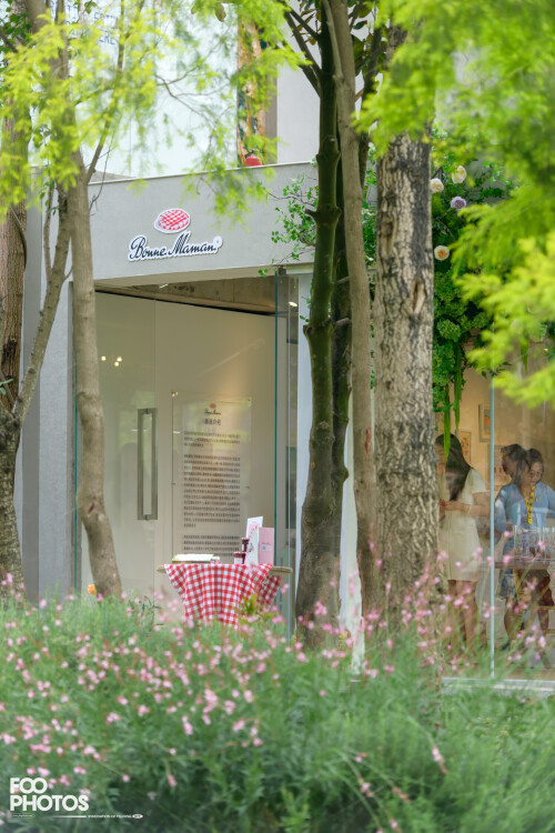 FooPhotos_6814LR-STRD-LG62bec20deb75e4dd.jpg