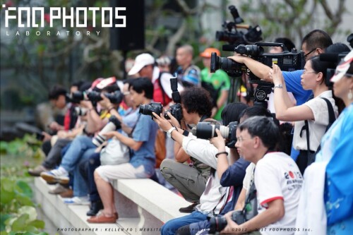 FOOPHOTOS-YJ_7887g-1024x682f6eb3e39a9f04fa5.jpg