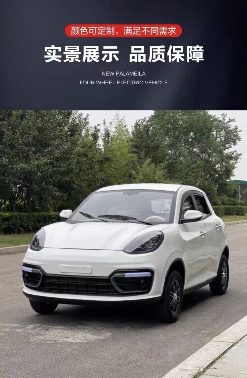 图片[17]-1.3万包邮新锂电瓶车四轮电动油电两用电动观观车-商品论坛-百货-大博士