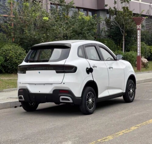 图片[18]-1.3万包邮新锂电瓶车四轮电动油电两用电动观观车-商品论坛-百货-大博士