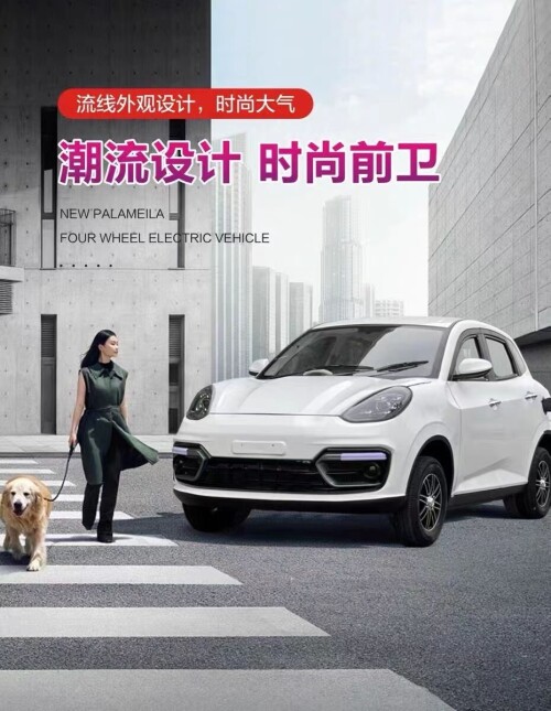 图片[7]-1.3万包邮新锂电瓶车四轮电动油电两用电动观观车-商品论坛-百货-大博士