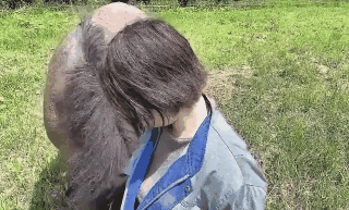 6402471c3a0c2f0acc3.gif