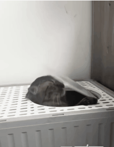 640f7ed8d4734f8aa30.gif