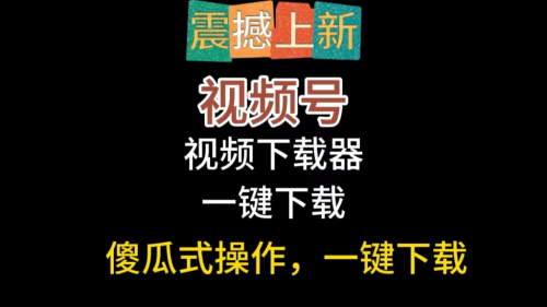 “视频号宝藏！这款一键下载工具让你免费畅游视频海洋”-大博士