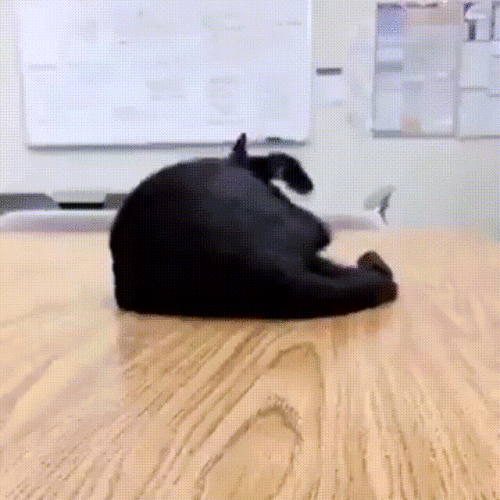 640afdc7a701881ea01.gif