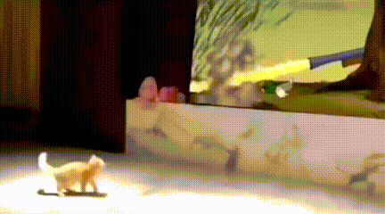 640aff20ec8c9706980.gif