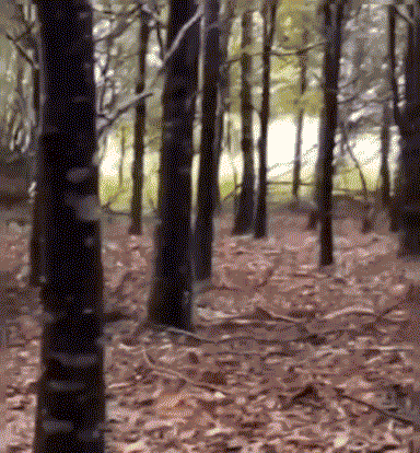 640ccea6054848f1741.gif
