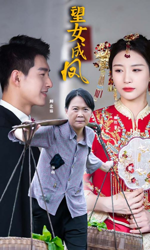 （短剧）望女成凤 74集-给我网盘资源