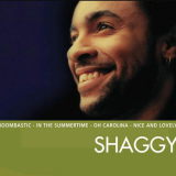 Shaggy71cac102e245bf04
