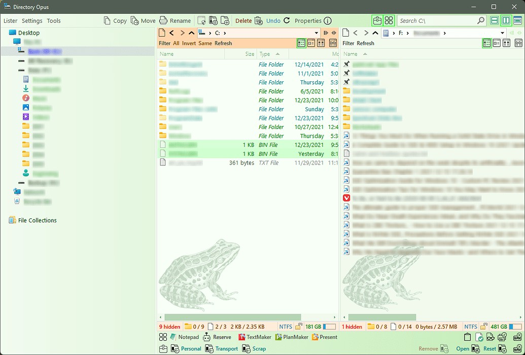 Directory Opus theme