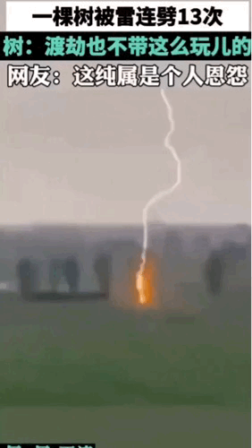 6402fabda375925ff7c.gif