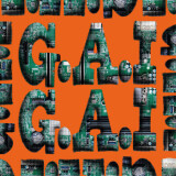 N.Y.P.D.-G.A.I.G.A.I1a0e8d7407009dcd