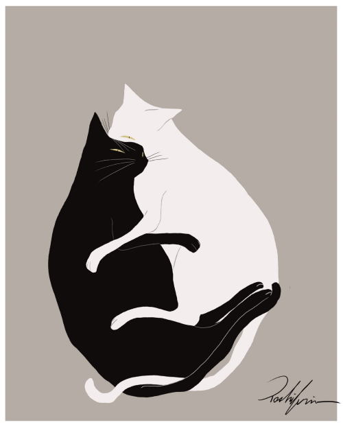 Image_17257180395129ddd326b722ba26b.png