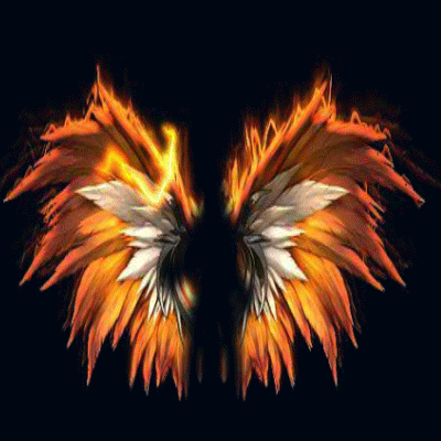 40套修仙动画翅膀 40套修仙动画翅膀