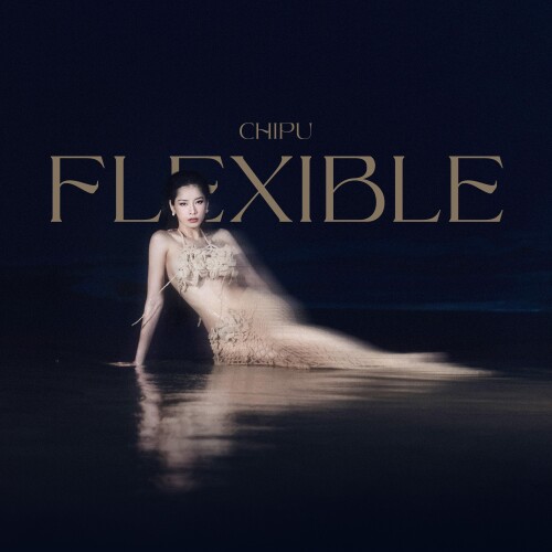 CHIPUFLEXIBLE1a752455e34ace01.jpg