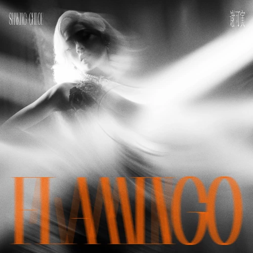 Flamingo30179eb34b2498cf.webp