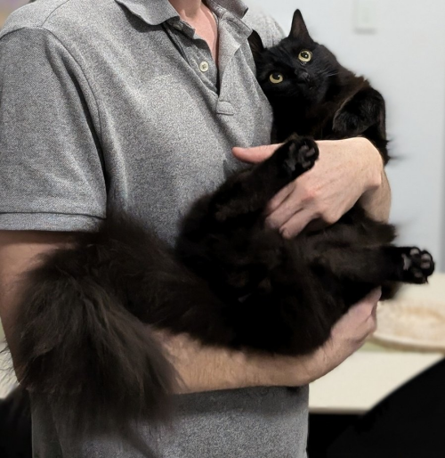 Image_1106970585961595661f5e09d976aeb3.png