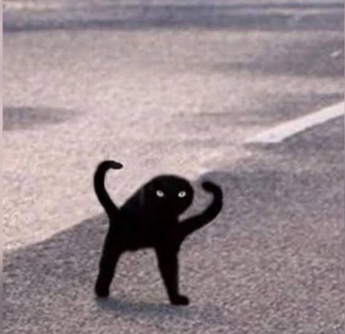Image_115295580048287480cebff16975965a.png
