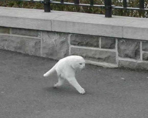 Image_115295896172018286147bdc4123aa80.png