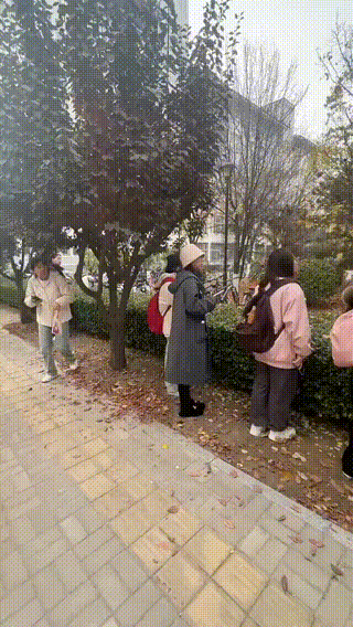 6406b7b397348e4ea62.gif
