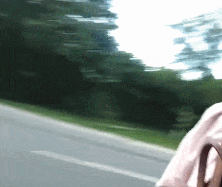 6409dcc0cb9a39806b6.gif