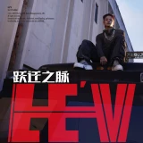 LEVcc2a221a0ea1eefa