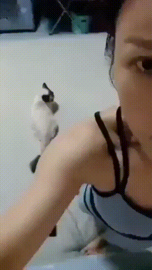 640babd772aabc78aac.gif