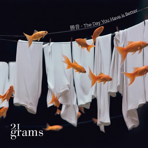 21-Grams-The-Day-You-Have-is-Betterab65801998681a4b.jpg