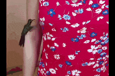 64089e19cf24a772298.gif