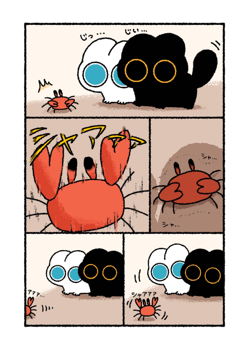 Image_1005949564216574158dd90578bb62e7.png