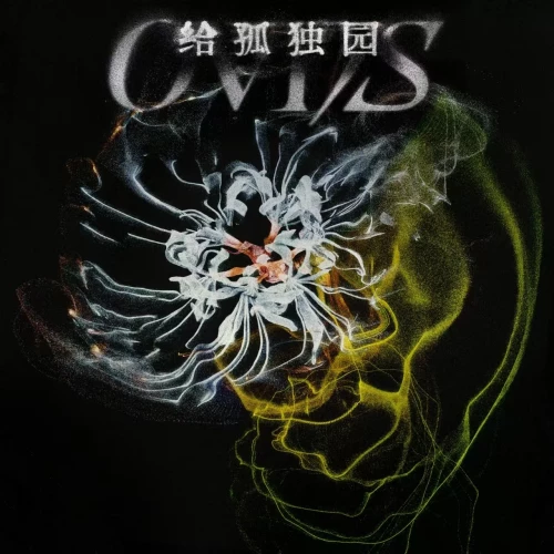 OVDSf2761d05ec4b0409.webp