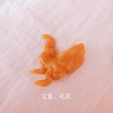 小Roo 5岁8个月30天 《孔雀》