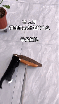 6401113650f7e9cc954.gif