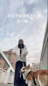 64036110ef07532ac2e.gif