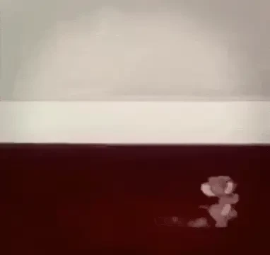049d378a42b5eec0b860561e3e47586c376809906.gif764w_720hf7ee344ed5051d6f.webp