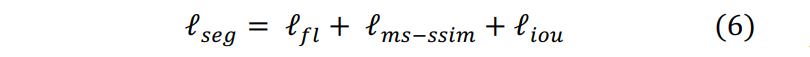 Segmentation Loss