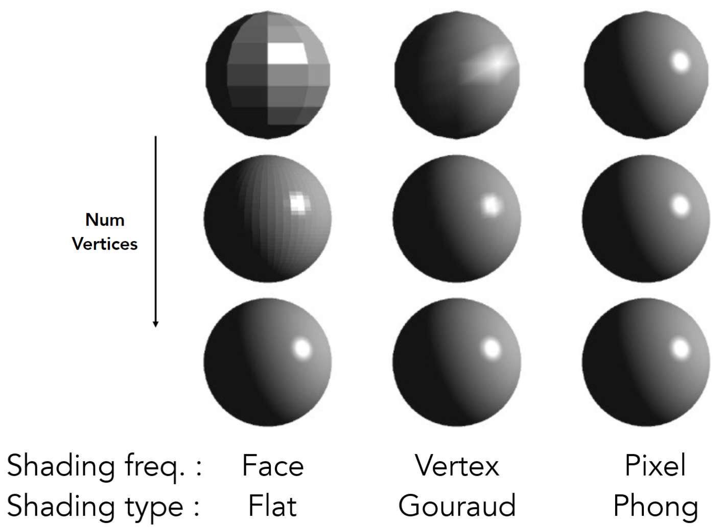 image-20250212202620694