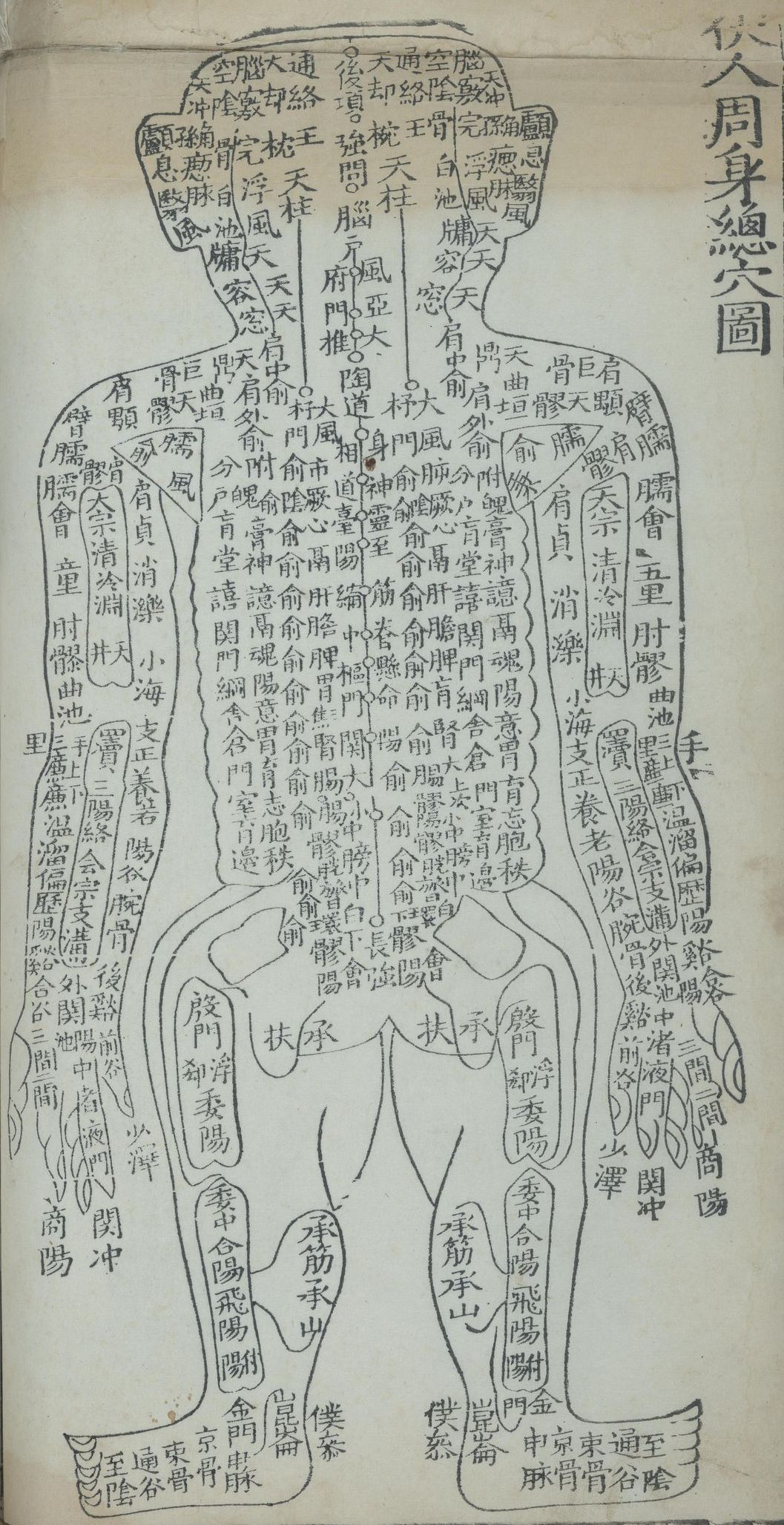 伏人周身總穴圖